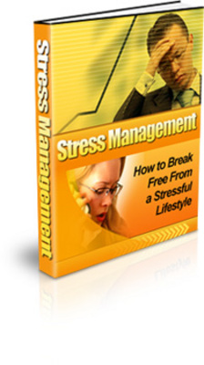 Product picture Stress Management !