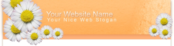 Product picture 19 Mini-Sites Templates !